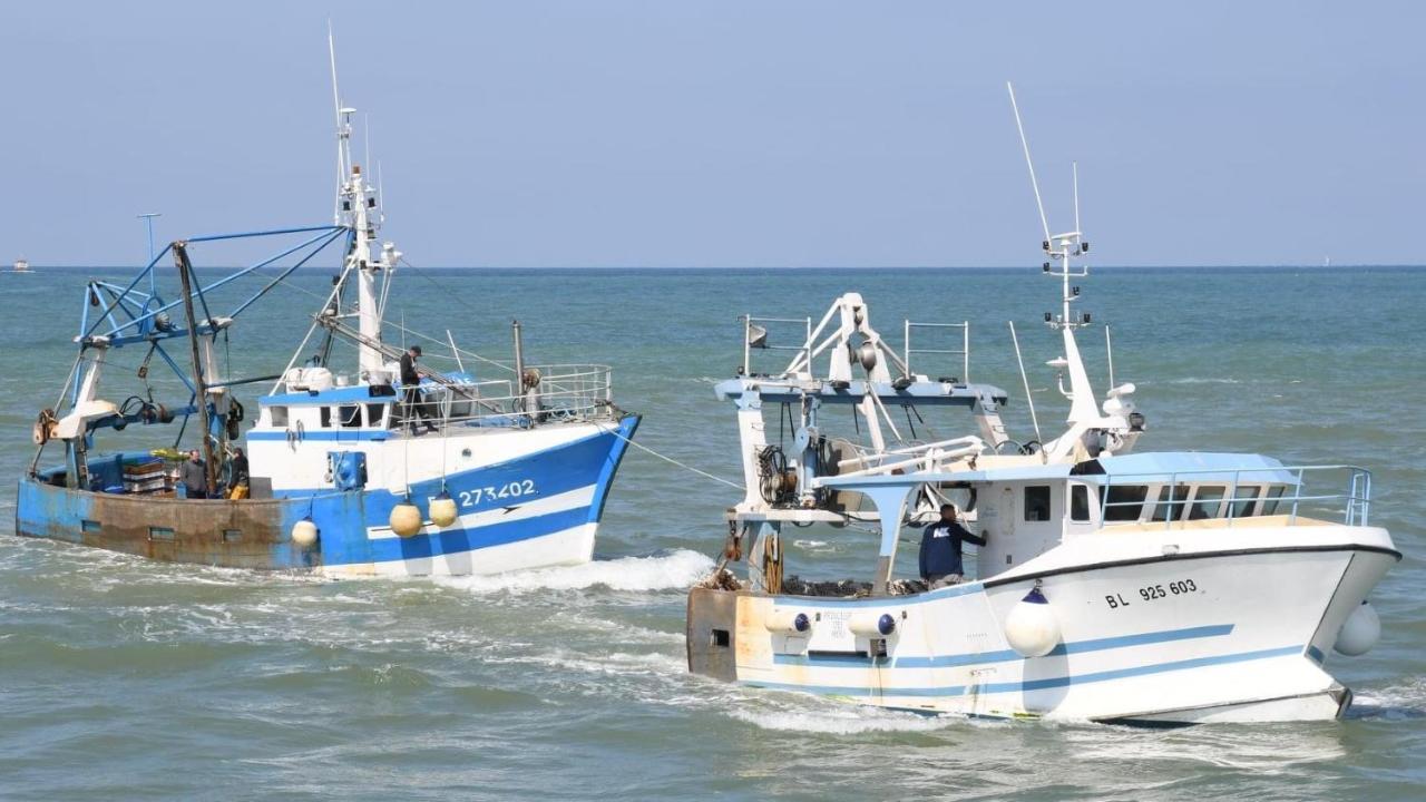 Chene Perce Au Rdc 51 M2